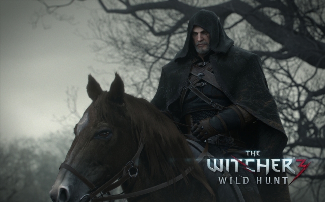 thewitcher35
